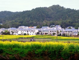湘乡韶山旅游资讯(湘乡会和韶山合并吗)