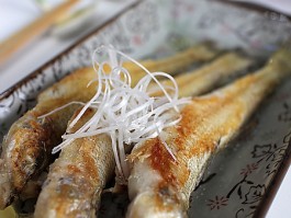 沙丁鱼做法(沙丁鱼做法视频)