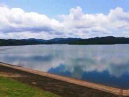 旅游新闻网资讯(旅游新闻最新旅游新闻)
