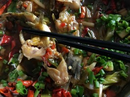 黄辣丁鱼的做法(黄辣丁鱼的做法视频)