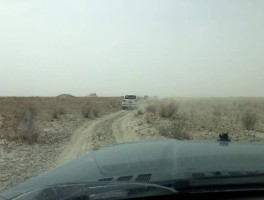 关于如何看待车队穿越若羌无人区，失联仅一晚，一车人全部死亡？的信息