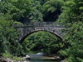 泾县旅游资讯吧(泾县旅游资讯吧贴吧)