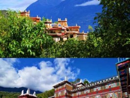旅游自媒体最新资讯大全(旅游自媒体最新资讯大全下载)
