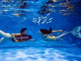 水族馆旅游拍照技巧与方法图片(水族馆旅游拍照技巧与方法图片欣赏)