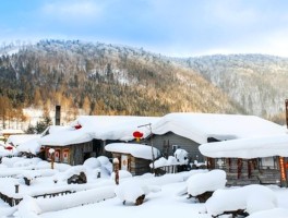 雪乡旅游资讯平台电话(雪乡旅游资讯平台电话号码)