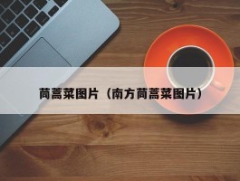 茼蒿菜图片（南方茼蒿菜图片）