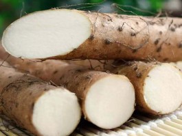 脾虚吃什么食物补最快(小孩脾虚吃什么食物补最快)
