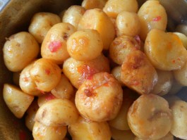 土豆的做法大全(牛腩炖土豆的做法大全)